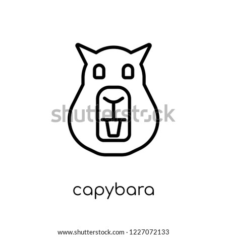 Capybara icon. Trendy modern flat linear vector Capybara icon on white background from thin line animals collection, editable outline stroke vector illustration