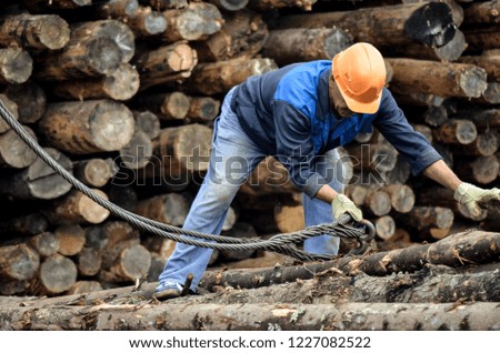 A man in an orange helmet and work clothes fastens a cable from a crane to logs