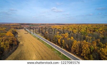 Aerial view of road in autumn forest at sunset near the corn field.