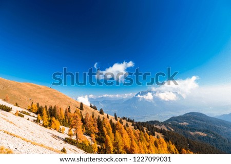 Autumn with the foliage in the alps of Friuli Venezia-Giulia