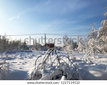 Road through the little winter forest in the sunny day with snow all around. Russian winter, snowdrifts glistening in the sun, a well-trodden path. Trees bending under the weight of snow piles. Skiing