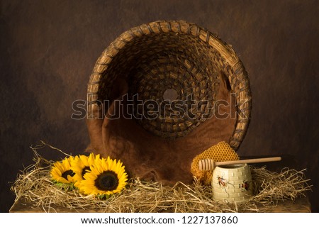 Vintage old beehive basket still life, can be used for baby composites Royalty-Free Stock Photo #1227137860