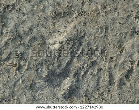 soil texture, dirty sand