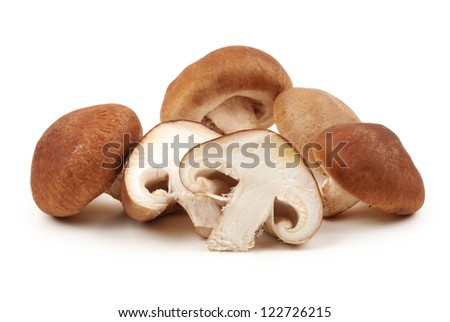 Shiitake mushroom on the White background Royalty-Free Stock Photo #122726215