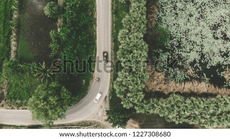 Top view of the path through the trees and field. From drone