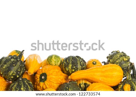 Many different pumpkins over a white background with room for text
