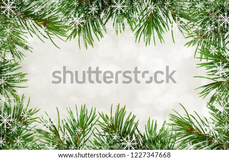 Twigs of Christmas tree and snowflakes frame on green abstract background 