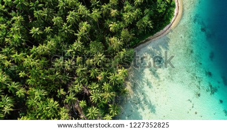 palm forest white lagoon in aerial view