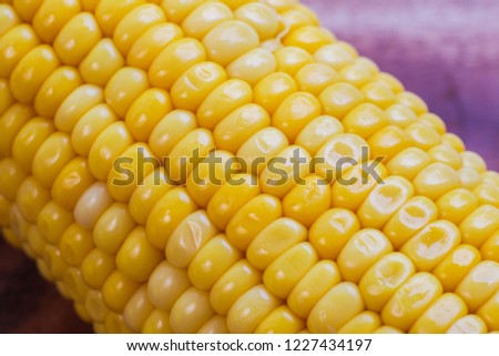 yellow corn stalk close up photo in wooden background