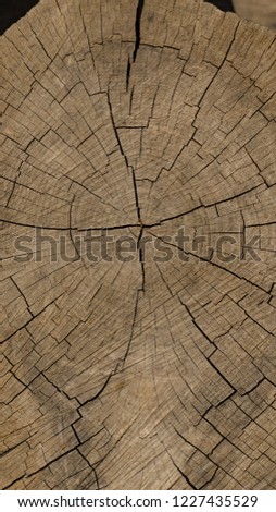 wood background billet, grain of wood 