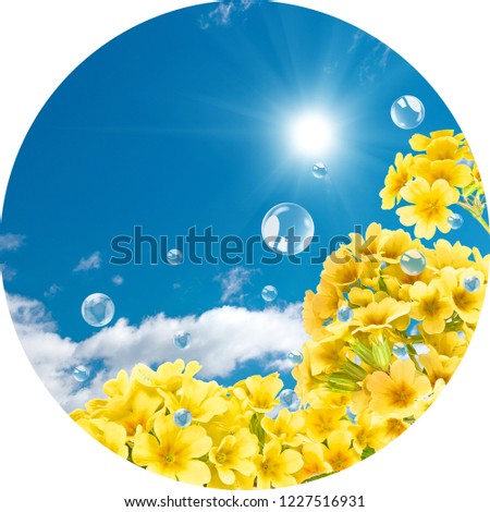 circle sky yellow flowers and bubbles