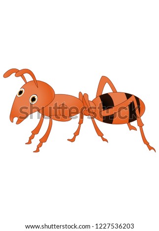 Ant cartoon isolated on white background