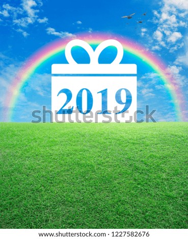 Gift box happy new year 2019 icon with green grass field over rainbow, birds and blue sky with white clouds, Business shopping concept