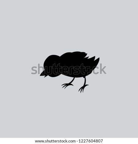 Vector image of an chick design silouette on gray background