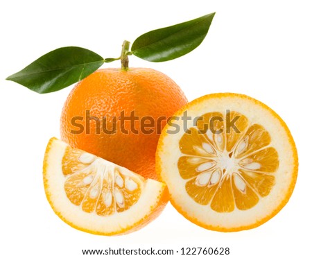 Daidai, Asian variety of bitter orange (which is also known as Seville orange, sour orange, bigarade orange, and marmalade orange) Royalty-Free Stock Photo #122760628