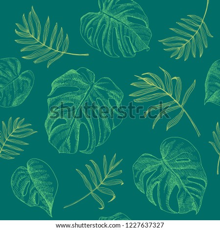 Exotic tropical seamless pattern. Summer palm leaves background. Hand drawn illustrations of palm leaves, monstera leaves.