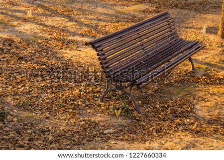 Garden benches in the garden Royalty-Free Stock Photo #1227660334