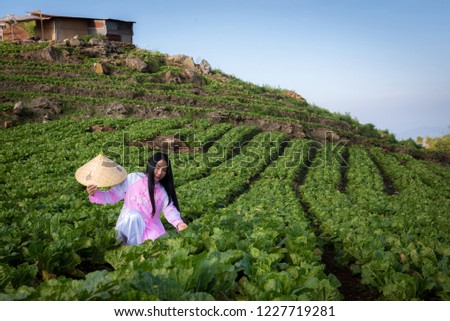 One Vietnamese man is managing. With his vegetables. (Agriculture in Vietnam on the mountain)