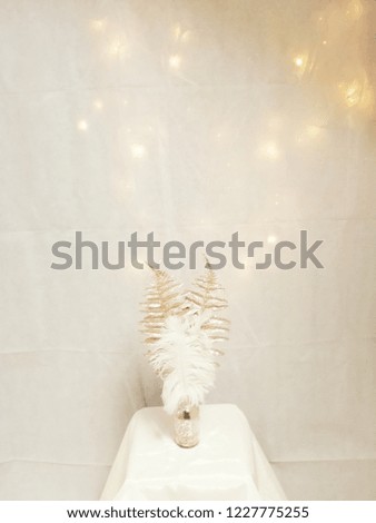 Beautiful image of soft creamy whites and pearls with subtle twinkling  fairly lights against a powdery white background. 