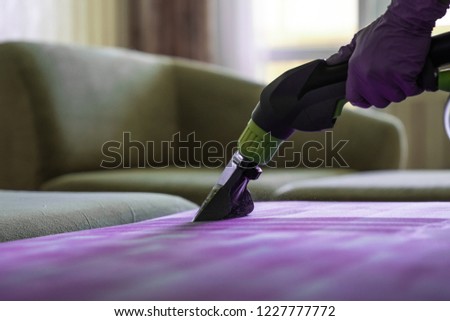 Closeup of upholstered Sofa chemical cleaning with professional extraction method.  man hands in rubber gloves hold hoover nozzle Royalty-Free Stock Photo #1227777772