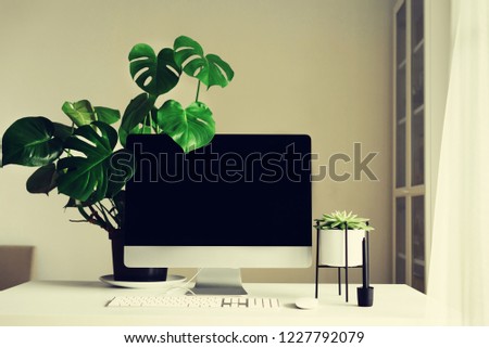Designer workspace. Minimalistic home office. Blank screen desktop computer. Desktop computer, lamp, graphics tablet, keyboard, mouse, pen, succulent plant on white desk. Copy space.