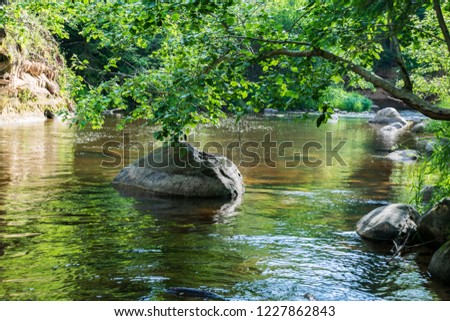 rocky stream of river deep in forest in summer green weather with sandstone cliffs and old dry wood trunks. Amata river in Latvia near Cesis