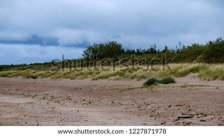 dirty beach by the sea with storm clouds above in calm evening