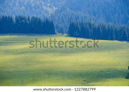 western carpathian Tatra mountain skyline with green fields and forests in foreground. summer in Slovakian hiking trails