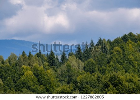 western carpathian Tatra mountain skyline with green fields and forests in foreground. summer in Slovakian hiking trails
