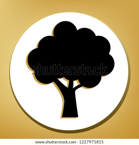 Tree icon. Vector. Black icon with light brown shadow in white circle with shaped ring at golden background.