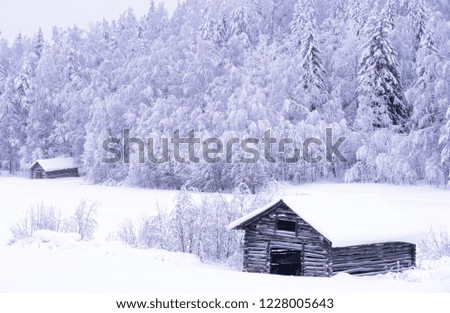 Old barns in winter landscape.