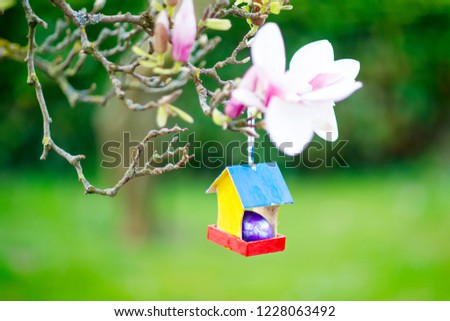 Closeup of colorful Easter egg in bird house on blooming magnolia tree. Traditional symbol for christian and catholic holiday. Purple egg for traditon hunt for children on Easter holiday.