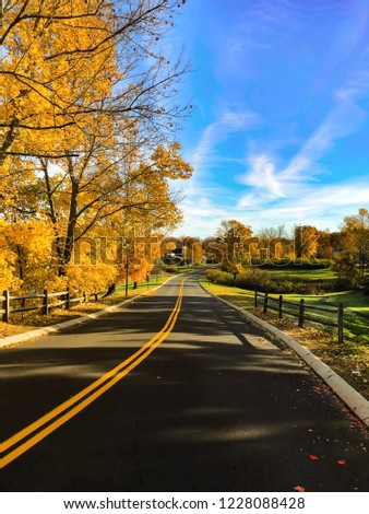 autumn road in Middletown  Royalty-Free Stock Photo #1228088428