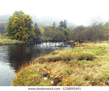 A beautiful tree with its leaves turning orange at the beginning of Autumn. With a long beautiful river that runs down through the land. This picture was taken in beautiful Scotland. 
