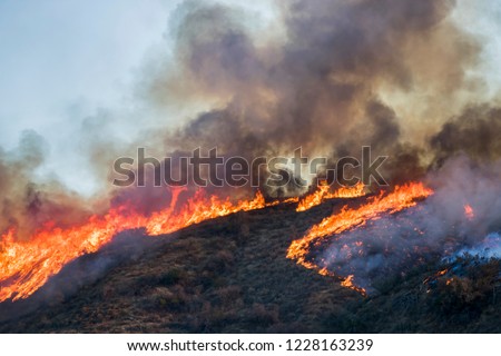 Brush and Tree Landscape Burning with Flame and Smoke During Cal Royalty-Free Stock Photo #1228163239