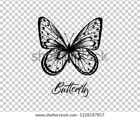 Butterfly. Vector illustration. Elegant butterfly logo for feminine business. 