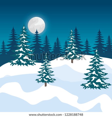 night snowscape field scene