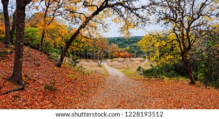 A Walk through the Maple Forest at Lost Maples State Natural Area - Vanderpool Texas Hill Country Royalty-Free Stock Photo #1228193512