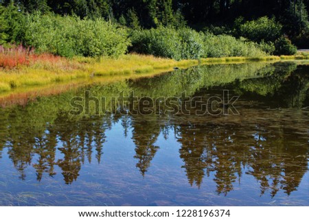 Fall colors surrounding Picture Lake with the reflection of evergreen trees 
