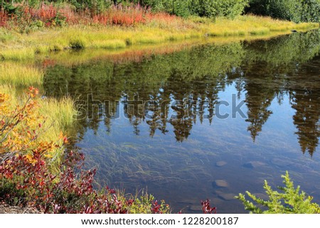 Fall colors surrounding Picture Lake with the reflection of evergreen trees 