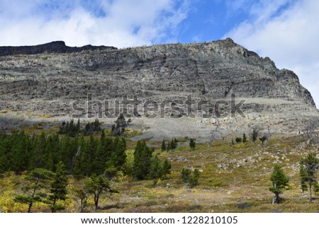 Slope of the Apikuni mountain in Many glacier with a grizzly bear visible at distance, Glacier National Park, USA