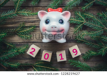 Tinted Christmas picture with 2019 new year, fir branches and the symbol of the year pig