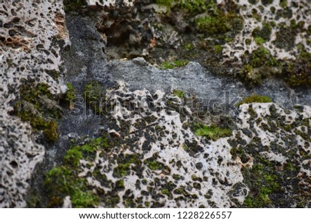 the surface of the stone overgrown with green moss. On the stone are traces of processing. For collages, backgrounds, illustrations