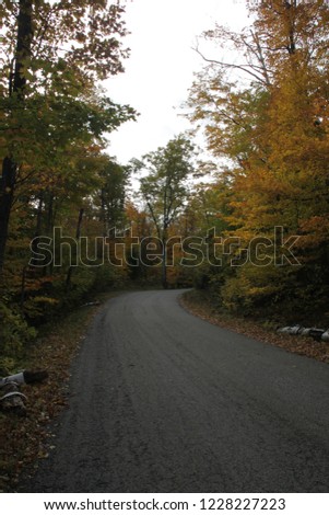 Rustic Fall Roadside with trees changing color 