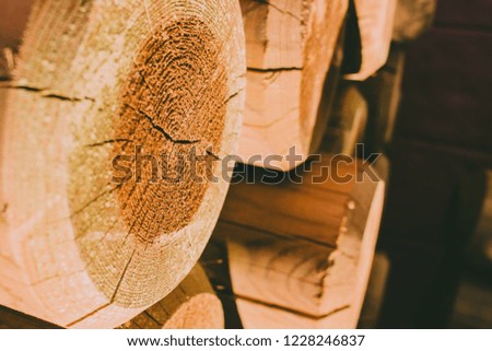 Wooden pattern. Abstract photo of a pile of natural wooden logs background.