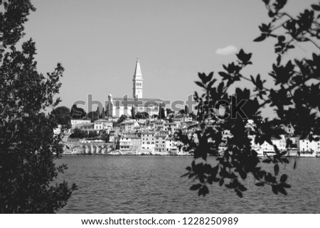 beautiful modern black and white photo of old town Rovinj , Croatia on sunny summer day from far away with blurred tree branches in the front of photo