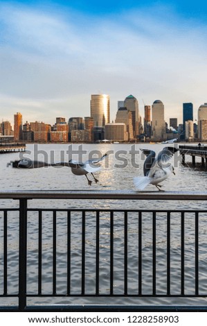 Manhattan Skyline as seen from Jersey City, New York City, United States of America.