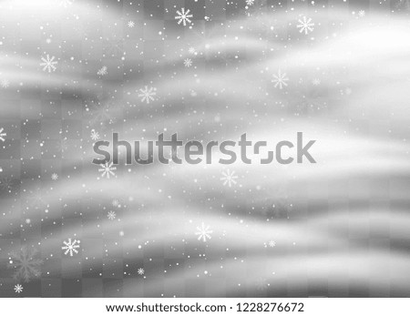 Snowfalls, snowflakes in different shapes and forms. Snowflakes, snow background. Christmas snow for the new year. Mountains of snow piled on the road.