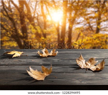 Autumn background and wooden desk