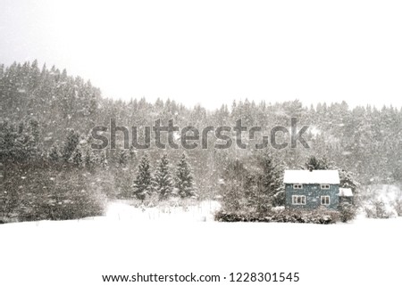 Photo of a blue house and backgrounds of trees in Norway. 